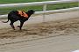 peterboro_205