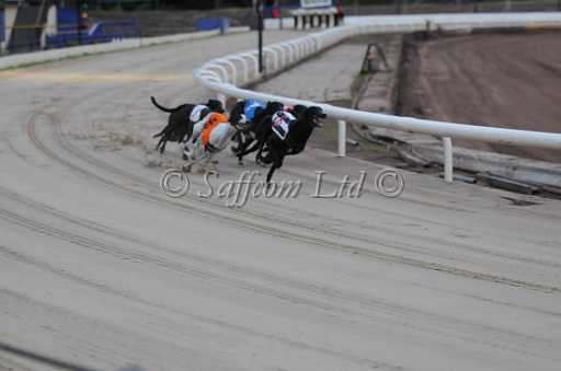 dogs6sep_0001.jpg