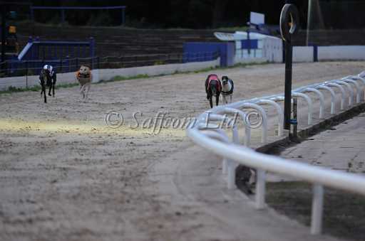 dogs6sep_0038.jpg