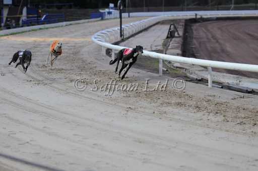 dogs6sep_0041.jpg