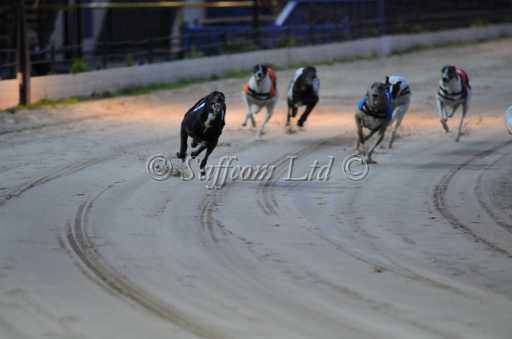 dogs6sep_0052.jpg