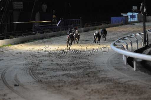 dogs6sep_0129.jpg