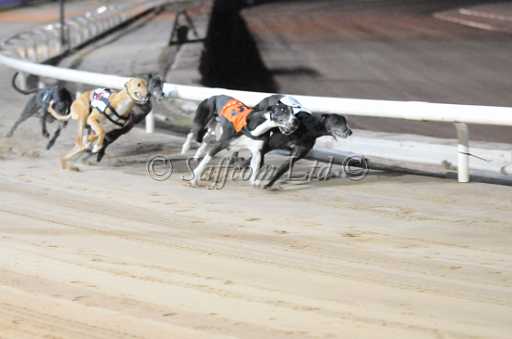 dogs6sep_0144.jpg