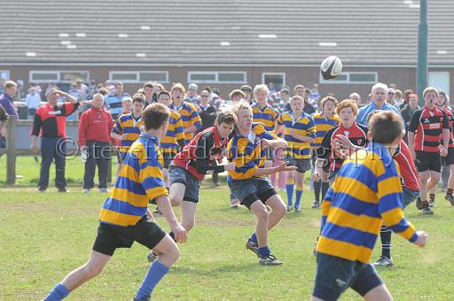 worth0407.jpg - (C)S.FARNDON