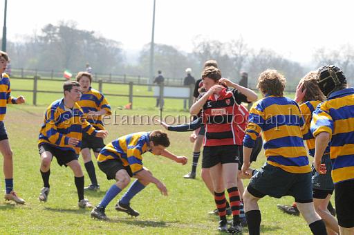 worth0424.jpg - (C)S.FARNDON