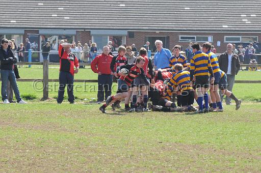 worth0723.jpg - (C)S.FARNDON