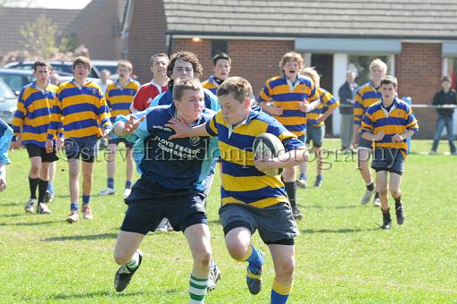 worth1113.jpg - (C)S.FARNDON