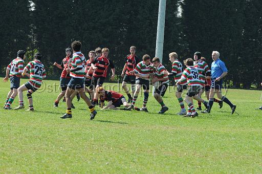 worth1537.jpg - (C)S.FARNDON
