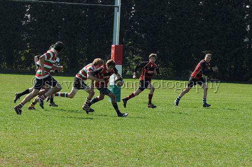 worth1547.jpg - (C)S.FARNDON