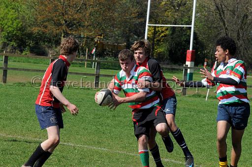 worth1563.jpg - (C)S.FARNDON