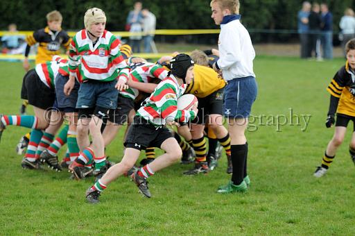 cody080.JPG - (C)S.FARNDON