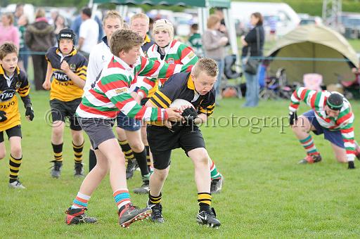 cody084.JPG - (C)S.FARNDON
