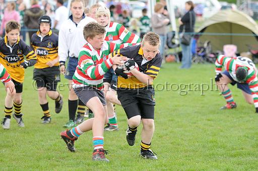 cody085.JPG - (C)S.FARNDON