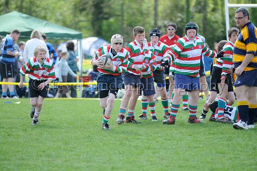 cody119.JPG - (C)S.FARNDON