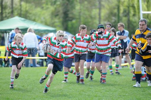 cody120.JPG - (C)S.FARNDON