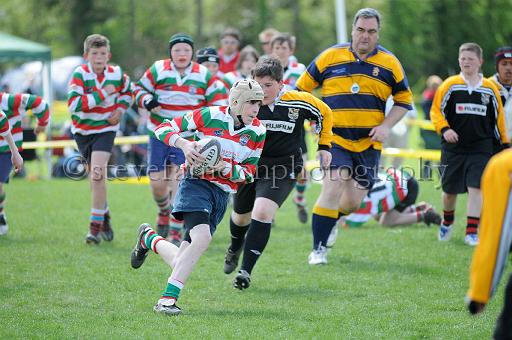 cody121.JPG - (C)S.FARNDON