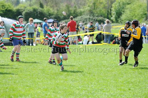 cody126.JPG - (C)S.FARNDON