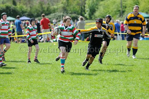 cody127.JPG - (C)S.FARNDON