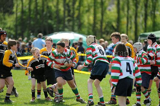 cody148.JPG - (C)S.FARNDON