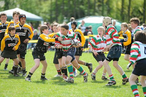 cody150.JPG - (C)S.FARNDON