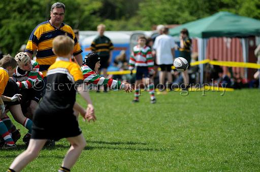 cody153.JPG - (C)S.FARNDON