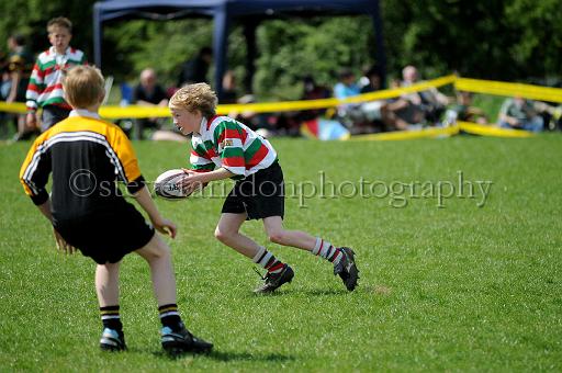 cody154.JPG - (C)S.FARNDON