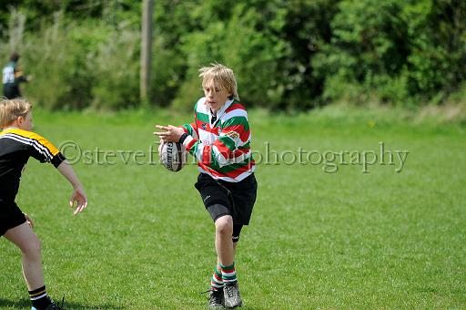 cody159.JPG - (C)S.FARNDON