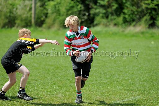 cody160.JPG - (C)S.FARNDON