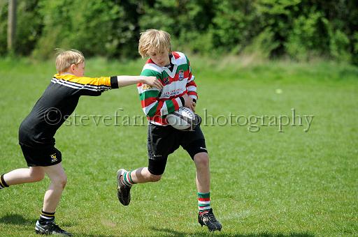 cody161.JPG - (C)S.FARNDON