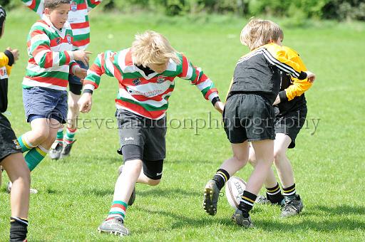 cody162.JPG - (C)S.FARNDON