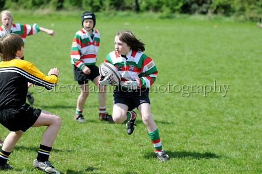 cody177.JPG - (C)S.FARNDON