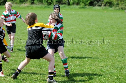 cody178.JPG - (C)S.FARNDON