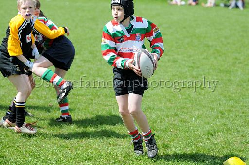 cody180.JPG - (C)S.FARNDON