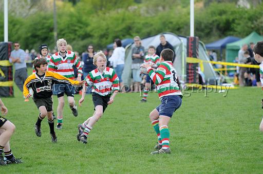 cody185.JPG - (C)S.FARNDON