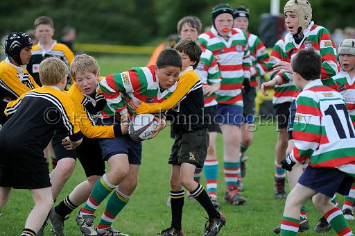 cody188.JPG - (C)S.FARNDON