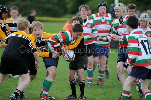 cody189.JPG - (C)S.FARNDON