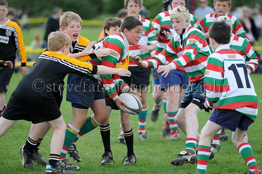 cody190.JPG - (C)S.FARNDON