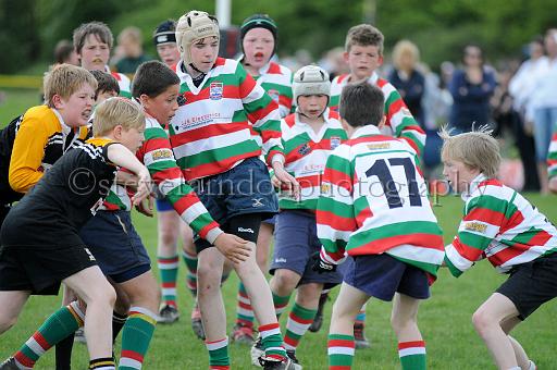 cody191.JPG - (C)S.FARNDON