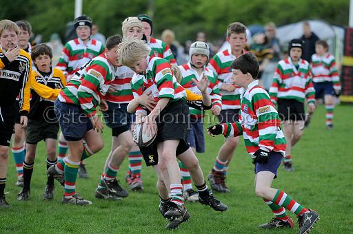 cody192.JPG - (C)S.FARNDON