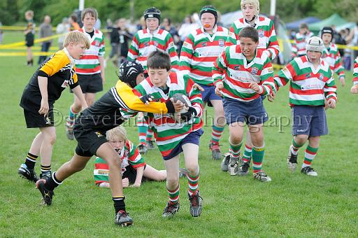 cody196.JPG - (C)S.FARNDON