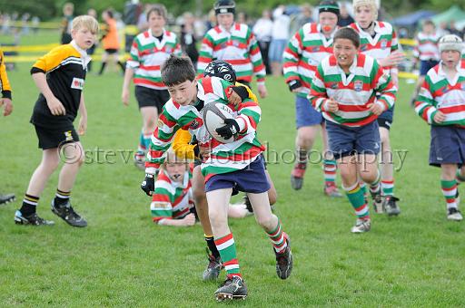 cody198.JPG - (C)S.FARNDON