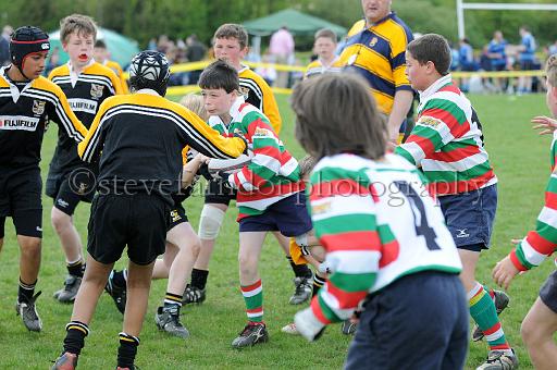 cody202.JPG - (C)S.FARNDON