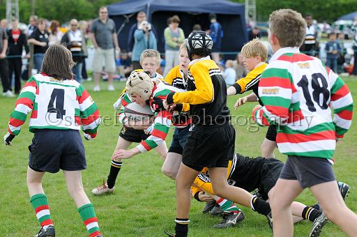 cody205.JPG - (C)S.FARNDON