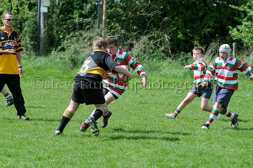 cody212.JPG - (C)S.FARNDON