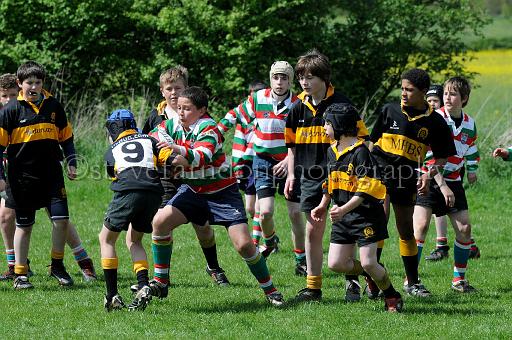 cody214.JPG - (C)S.FARNDON