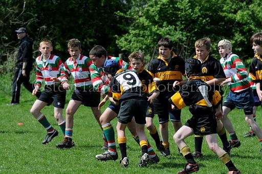 cody215.JPG - (C)S.FARNDON