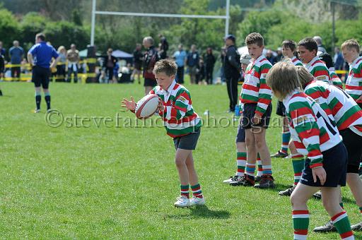 cody230.JPG - (C)S.FARNDON