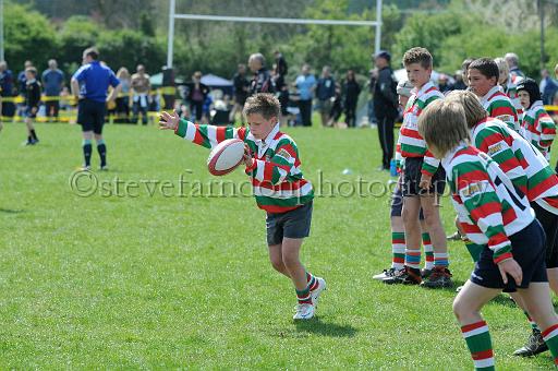 cody231.JPG - (C)S.FARNDON