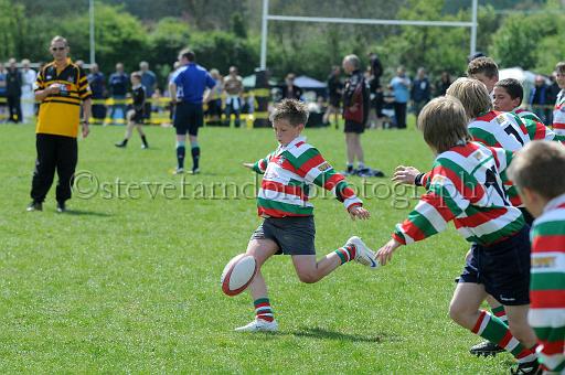 cody233.JPG - (C)S.FARNDON
