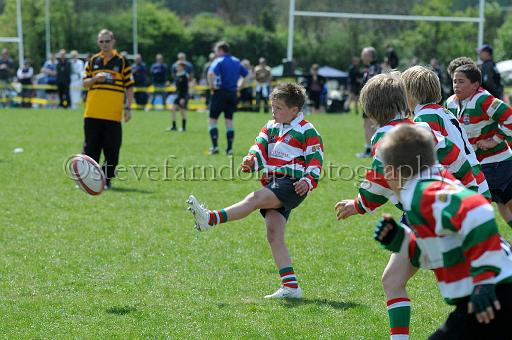 cody234.JPG - (C)S.FARNDON